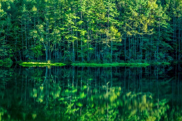これぞ絶景の水面鏡 長野県の 御射鹿池 アクセスや駐車場の詳細