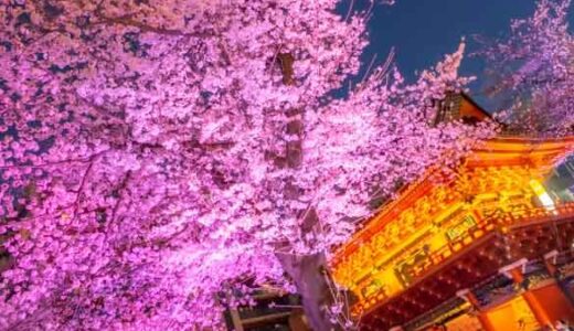 東京の「神田明神」で桜ライトアップと夜間参拝でインスタ映えを狙う！