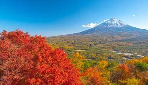 【2023】山梨県の紅葉×富士山の絶景！「紅葉台」のアクセスや駐車場、撮影の仕方について